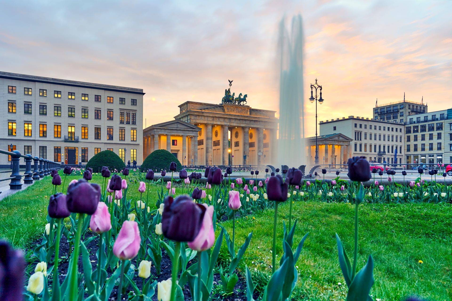 Frühjahrsputz in der Hauptstadt: Tipps für ein sauberes Zuhause