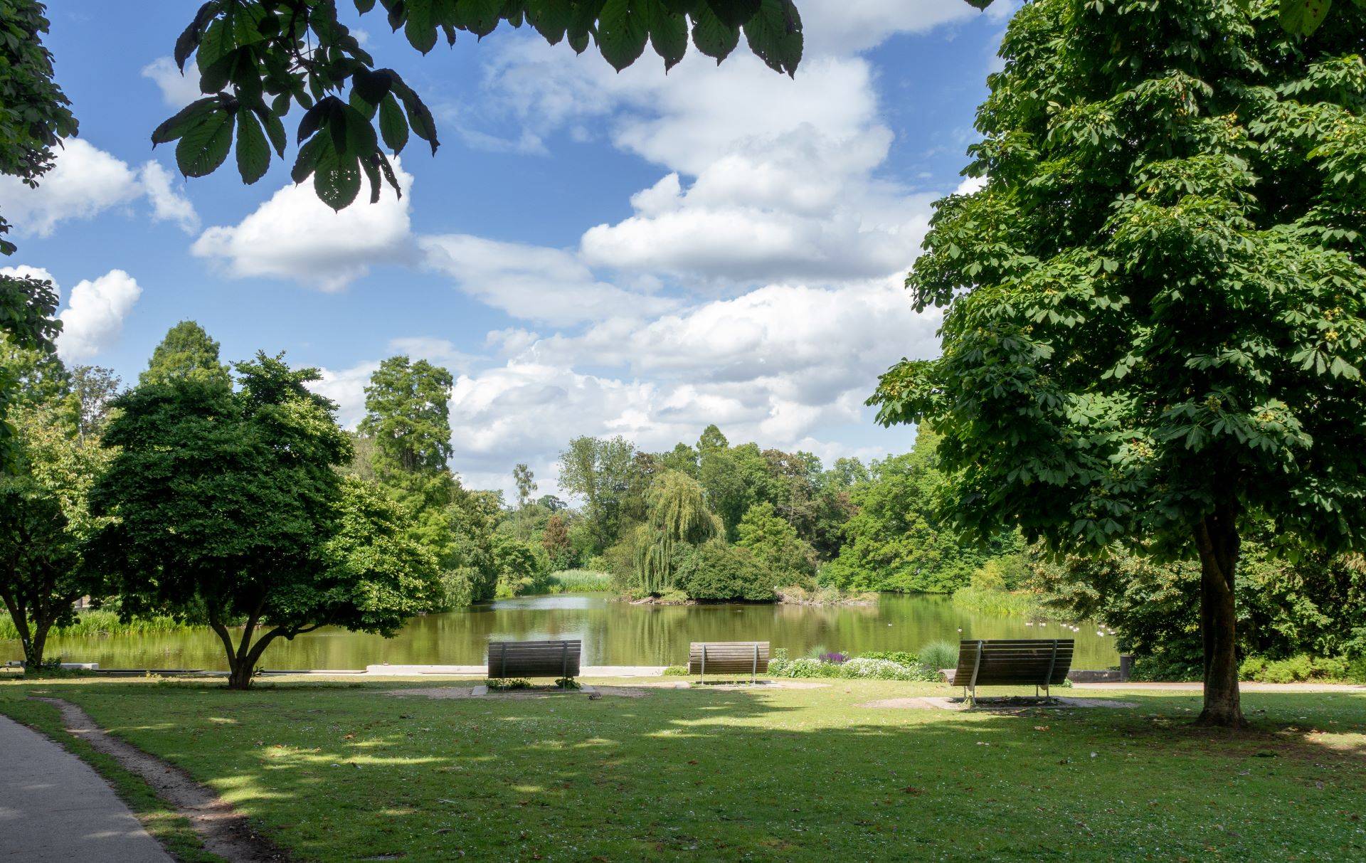 Grüner Park mit See und Bänken in Düsseldorf