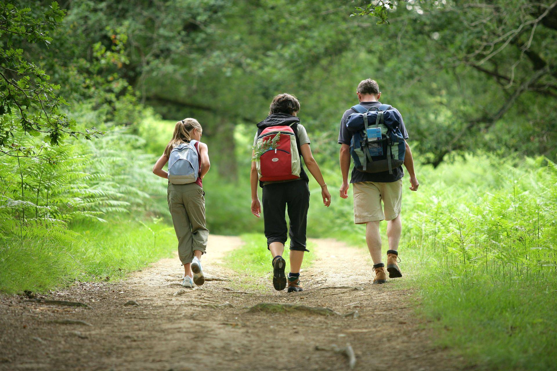 Drei Wanderer mit Rucksäcken auf einem Waldweg, passend für Ausflüge mit Schutz durch ein lagerzelt ganzjährig.