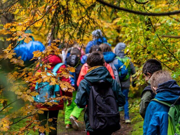 Wetterfeste Tipps für unvergessliche Ausflüge