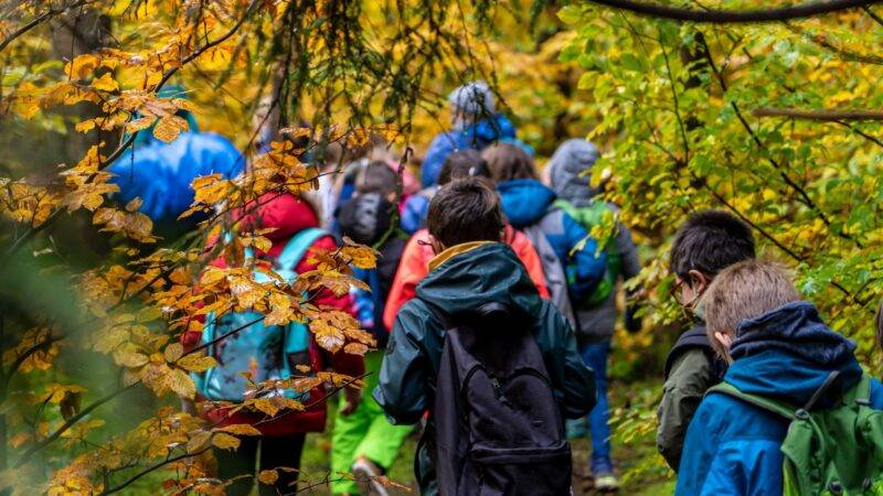 Wetterfeste Tipps für unvergessliche Ausflüge