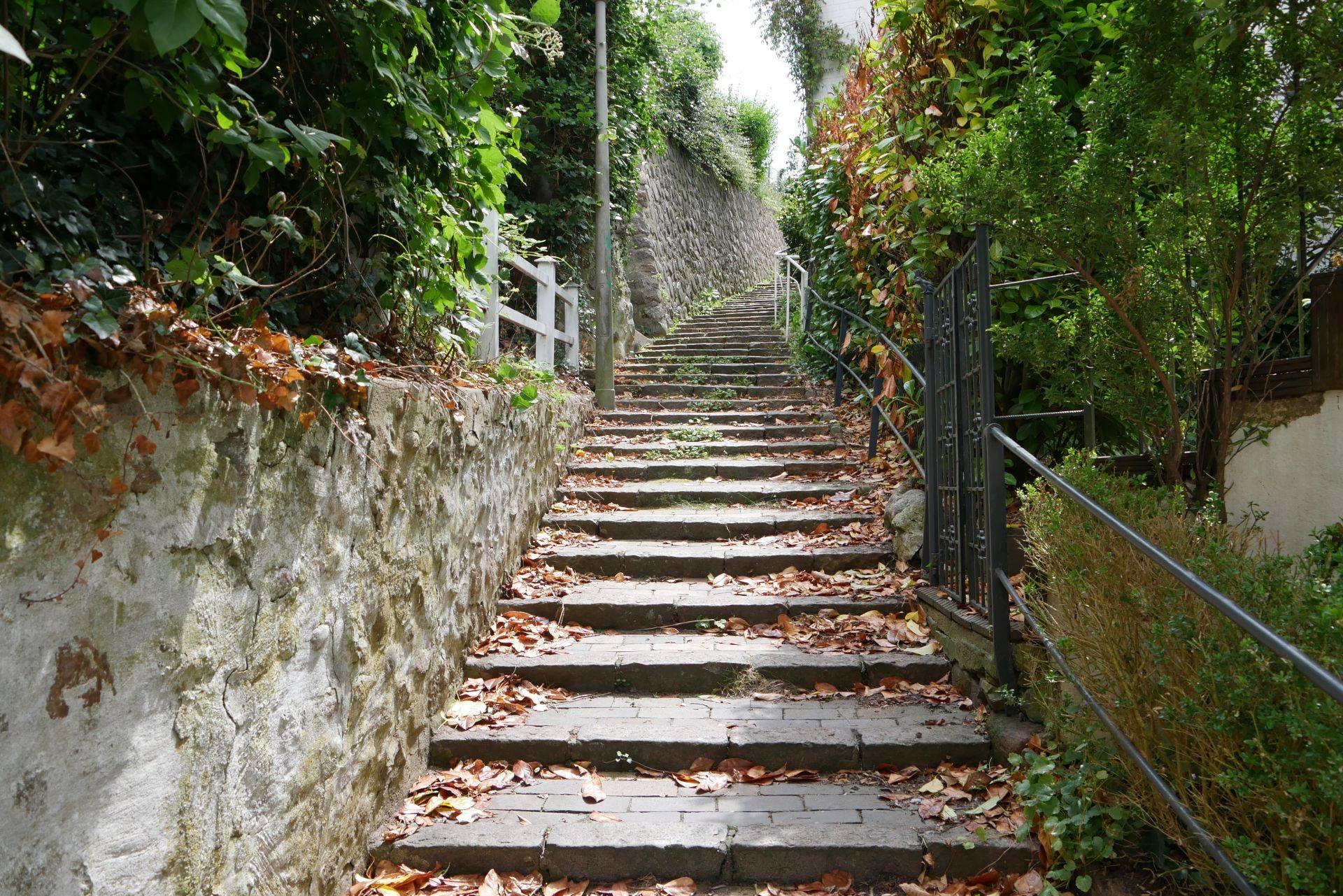 Treppe im Treppenviertel von Blankenese mit herbstlichem Laub und Natursteinmauer